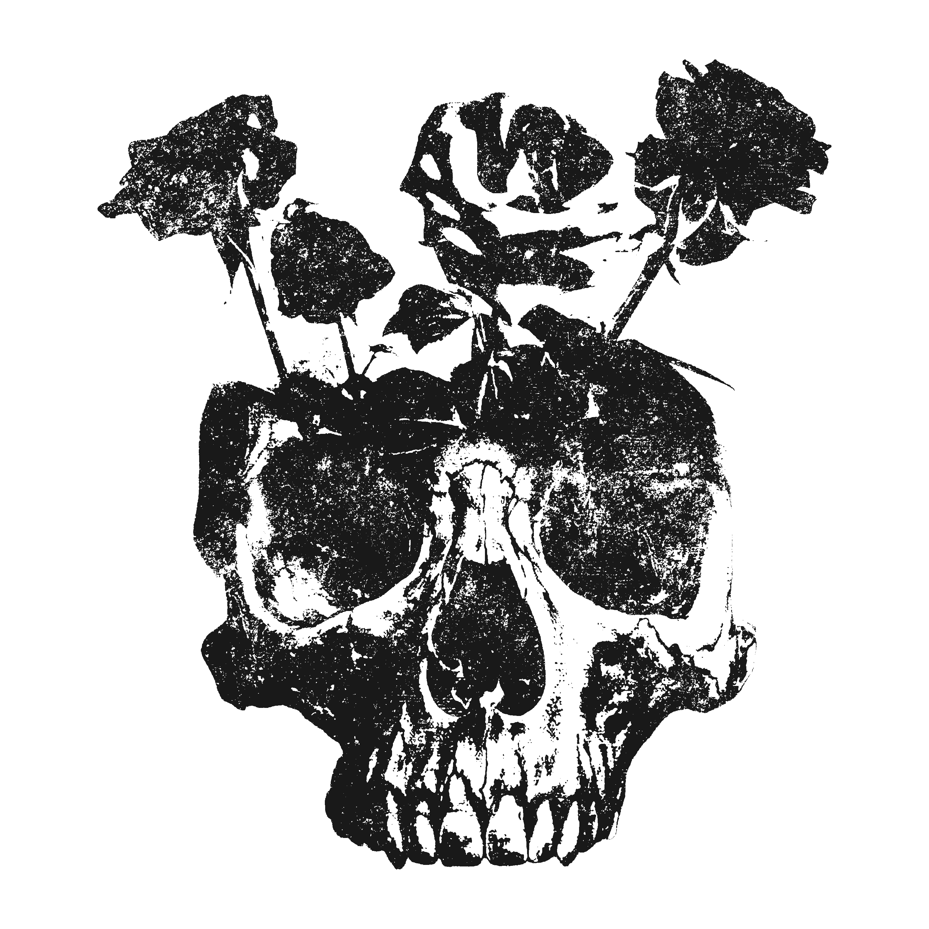 Die For Rose